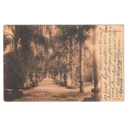 ARGENTINA. Buenos Aires. Parque Lezama. 1908.