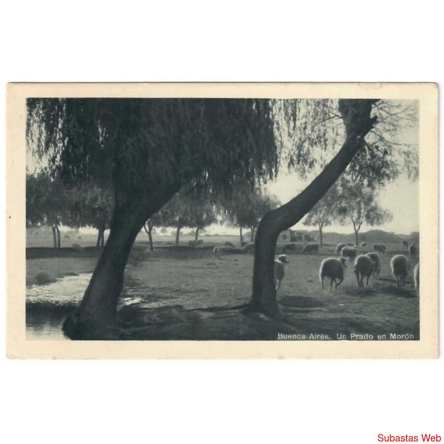 ARGENTINA • Buenos Aires - Un Prado en Morón