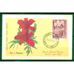 ARGENTINA GJ1118 EXPOSICIÓN  HORTÍCOLA. RARA TARJETA MÁXIMA!