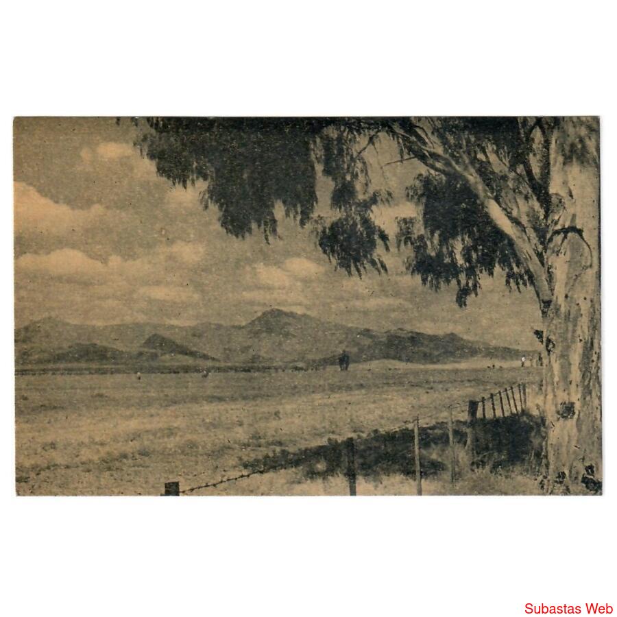 TORNQUIST (ARGENTINA) • CERROS NAPOSTÁ Y TRES PICOS