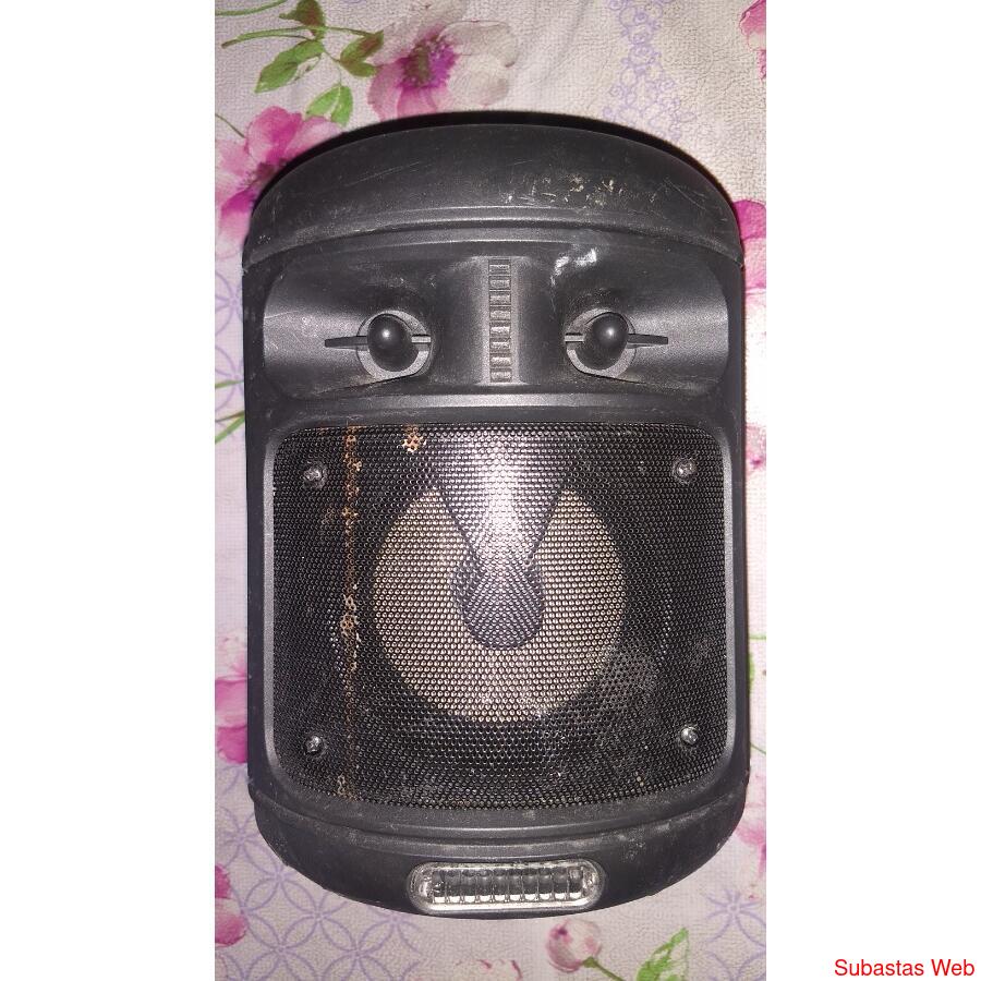 Parlante Bluetooth 10w