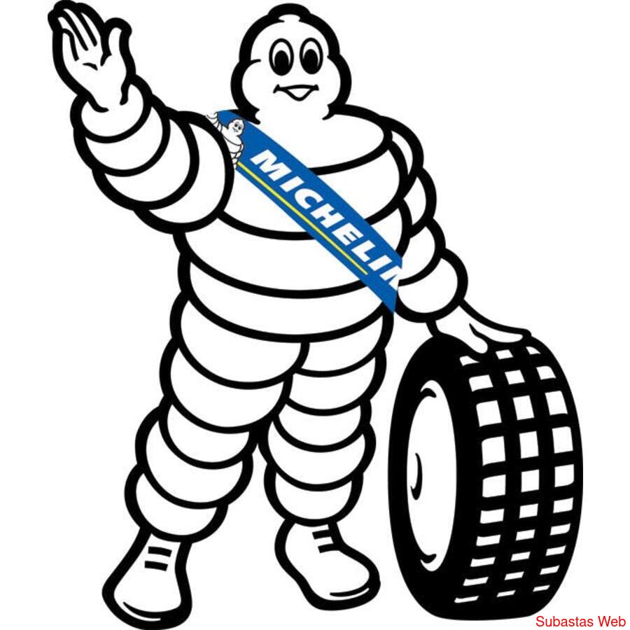 NEUMATICOS Michelin  Rodamarsa